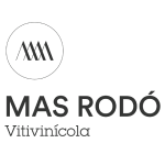 mas_rodo_logo